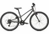 Specialized JETT 24 INT 24 SMOKE/FLAKE SILVER