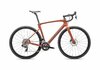 Specialized ROUBAIX EXPERT 61 COPPER/SMOKE