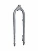 Electra Fork Rigid Electra Townie Path 9D Men Nardo Grey