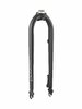 Electra Fork Rigid Electra Townie Path Go! 10D Black