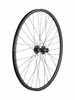 Bontrager Wheel Rear Bontrager Kovee TLR/DCL-141Q 29 Disc 32