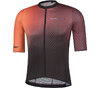 SHIMANO S-PHYRE Leggera Short Sleeve Jersey  Bronze Gold XXL