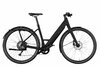 Riese & Müller UBN Six Touring Black Matt